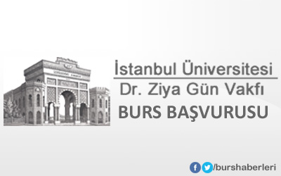 istanbul-universitesi-dr-ziya-gun-vakfi-burs